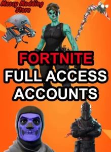 Fortnite Full Access Account
